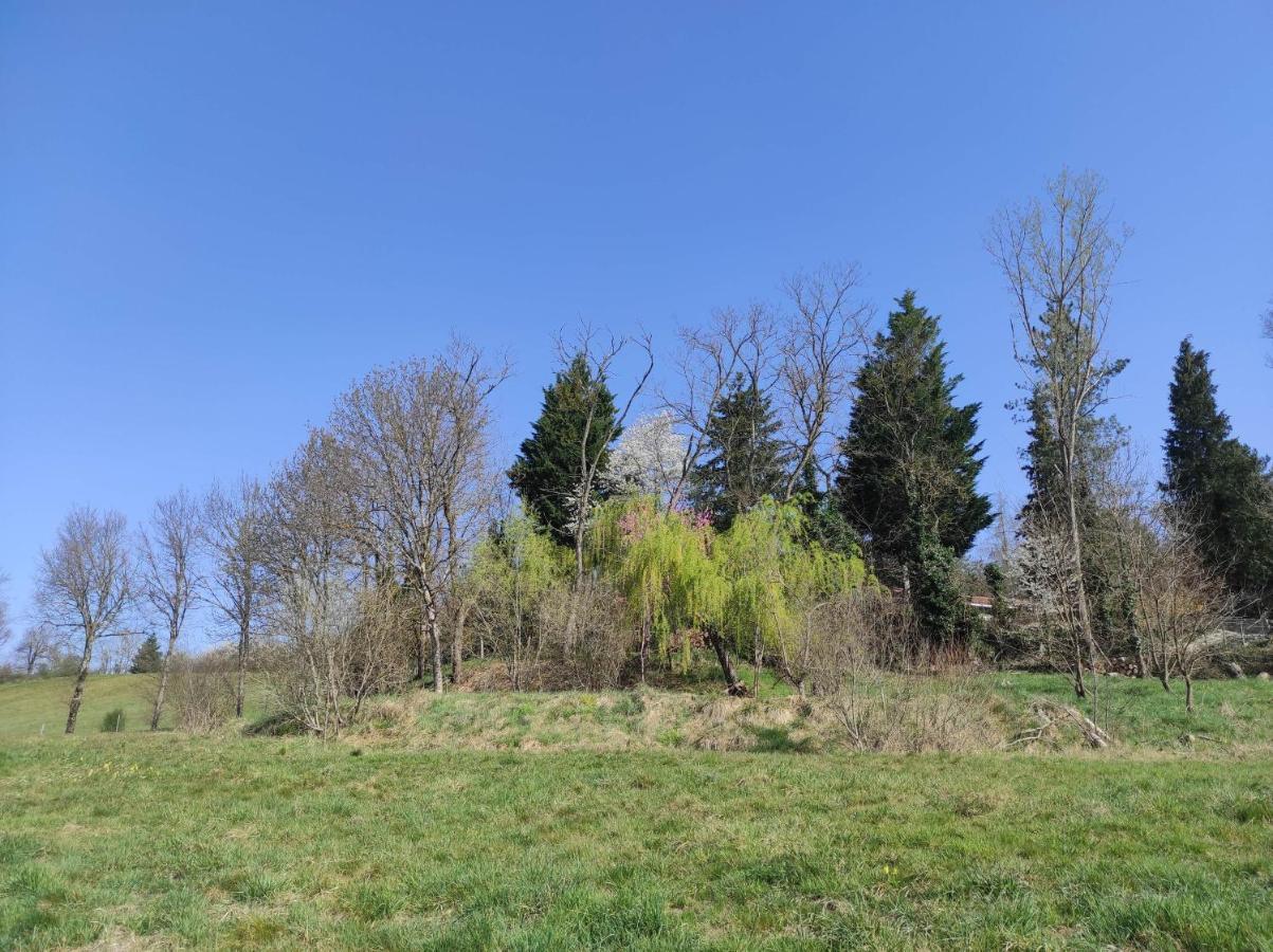 L'Oree Des Bois Courpiere Zewnętrze zdjęcie